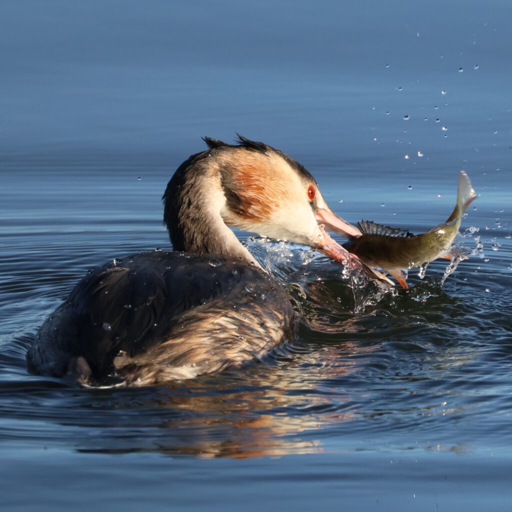 Beautiful November Morning in Dungeness